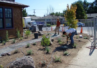 confluence ecological landscaping, after installation of plants and irrigation