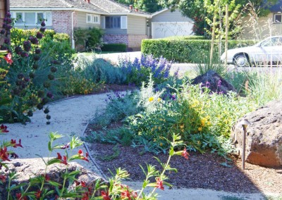 confluence ecological landscaping, maintenance of established native plants in shade