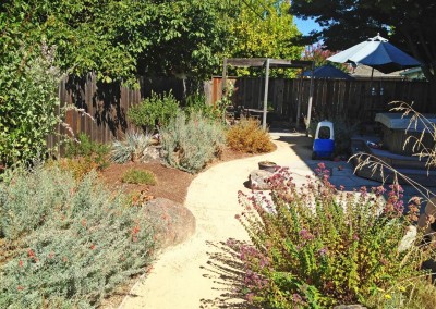 confluence ecological landscaping, maintenance of native plants along a dg path