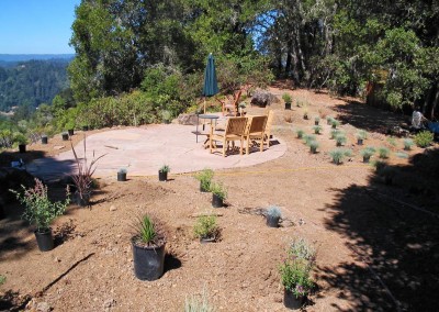 Lispon backyard with flagstone patio and spotted plants