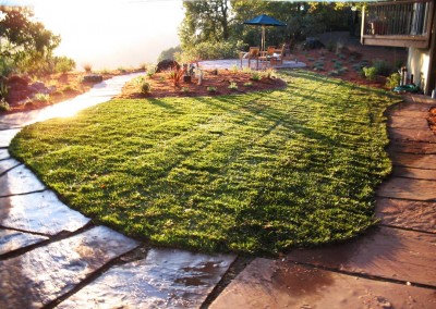 Lipson sod and flastone walkway at sunset