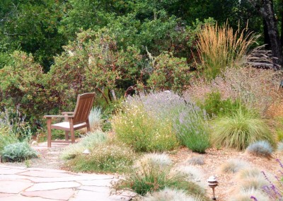 Lipson sod and flastone patio and established natives