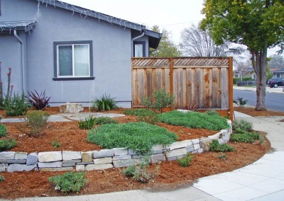 established native plants and retaining wall
