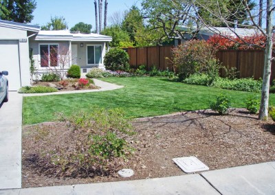 Crawford residence before ecological landscape installation front lawn