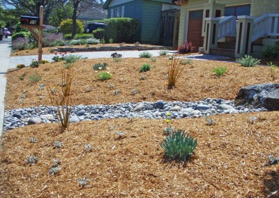 dry creek bed with native plants and mulch