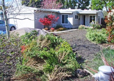 Crawford residence before ecological landscape installation with lawn removal
