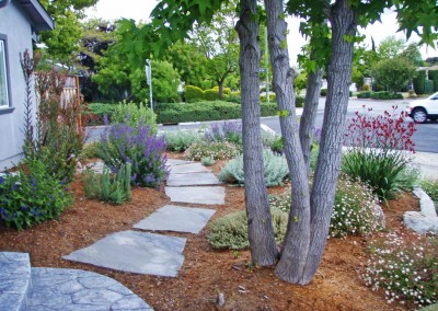 confluence ecological landscape with flagstone walkway and native plants