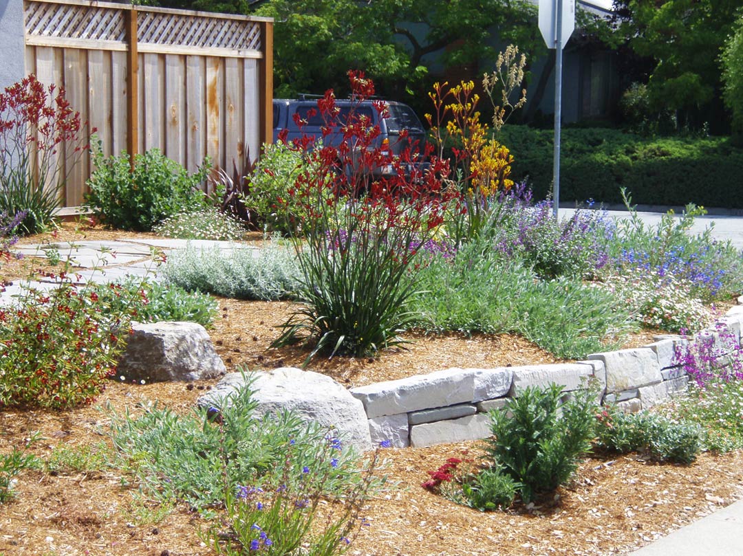 Ecological Landscaping - Lee Residence - Confluence