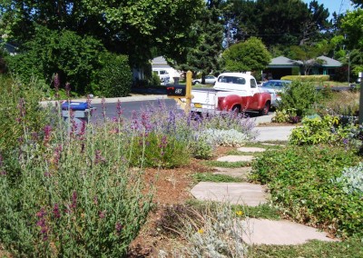 established ecological landscaped gardenand flagstone pathway