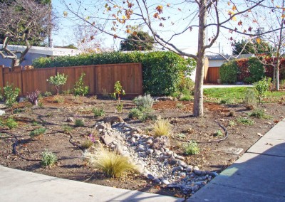 installation of dry creek bed and native plants