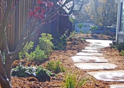 flagstone walkway with native plants