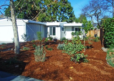 native plants and mulch in front yard