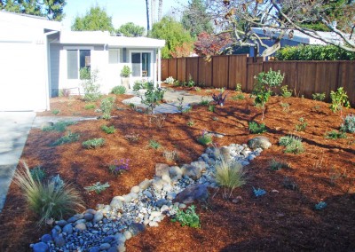 confluence ecological landscape including native plants, dry creek bed and mulch