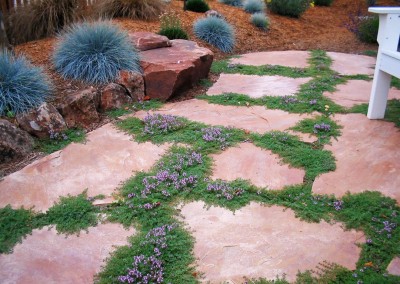 Boutell flagstone patio with groundcover closeup